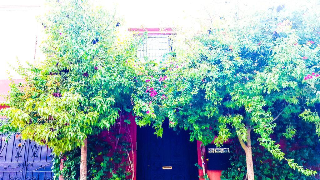 Villa Annakhil Marrakesh Luaran gambar